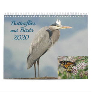Calendar - Birds and Butterflies