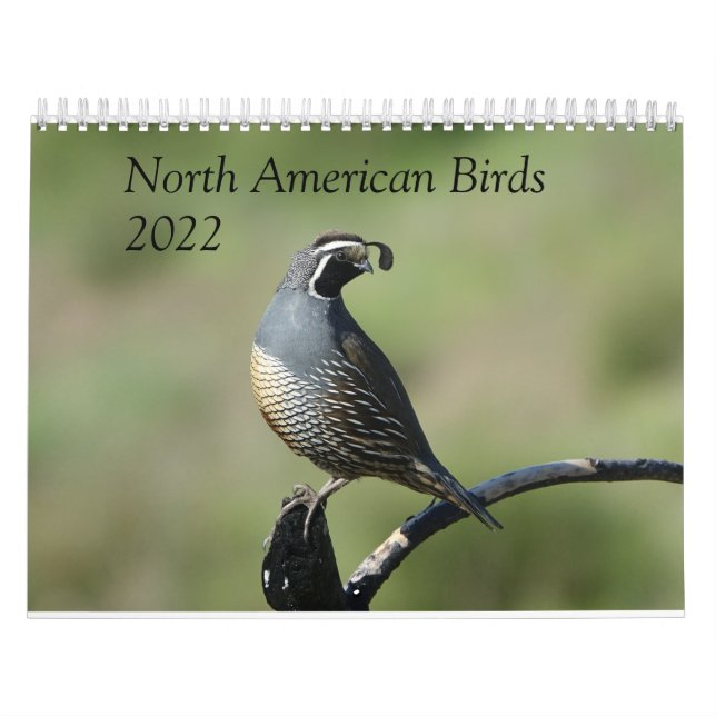 Calendar - Birds of North America (Cover)