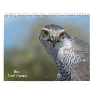 Calendar - Birds of North America