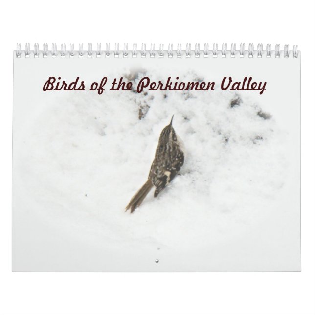Calendar - Birds of the Perkiomen Valley (Cover)