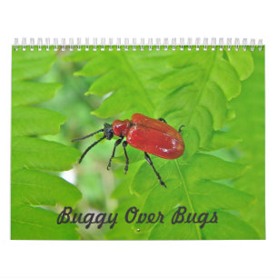 Calendar - Buggy Over Bugs