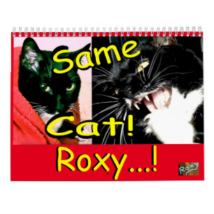 Calendar Cat Roxy