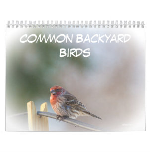 Calendar - Common Backyard Birds