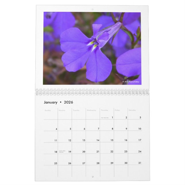 Calendar: Delicate Nature Calendar (Jan 2026)
