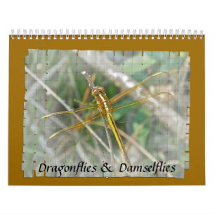 Calendar - Dragonflies & Damselflies