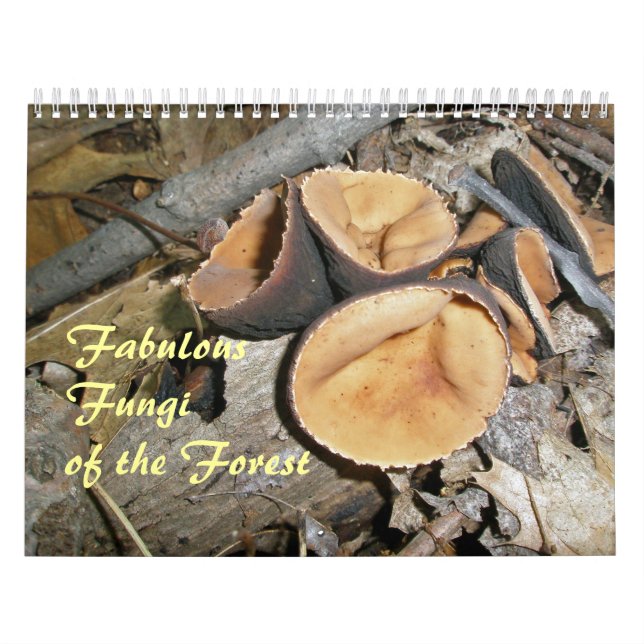 Calendar - Fabulous Fungi Of The Forest (Cover)