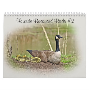 Calendar Favourite Backyard Birds #2