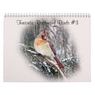 Calendar Favourite Backyard Birds #3