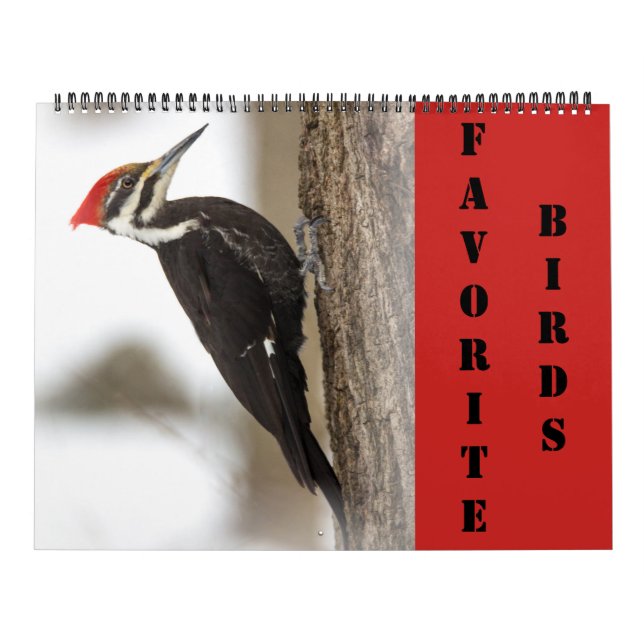 Calendar - Favourite Birds (Cover)