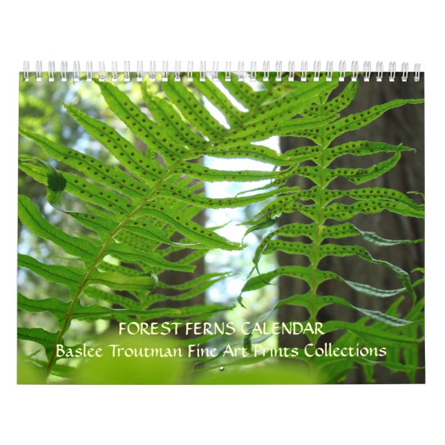 CALENDAR FERNS Calendar Redwood Forest Ferns (Cover)
