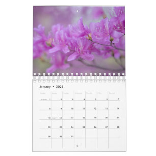 Calendar  flowers