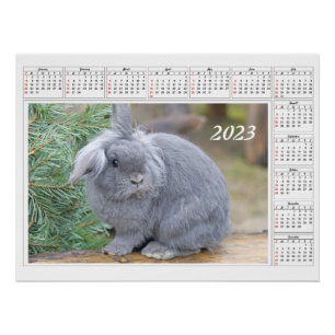 Calendar for 2023 Cute grey rabbit Poster