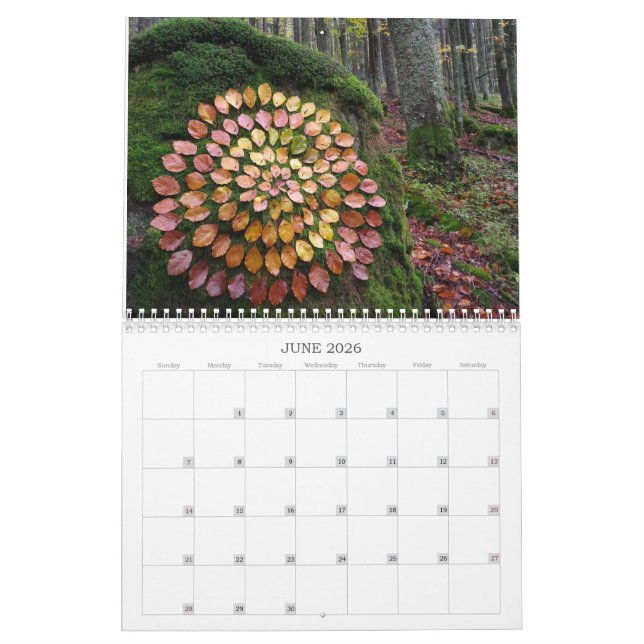 calendar forests 2026 art landart nature (Jun 2026)