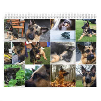 Calendar - German Shepherd