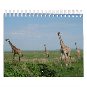 calendar giraffe
