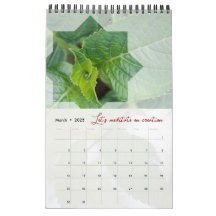 Calendar God meditation nature elegant star