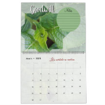 Calendar God meditation: star, words & notes