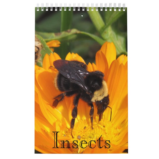 Calendar - Insects (sgl. pg.) (Cover)