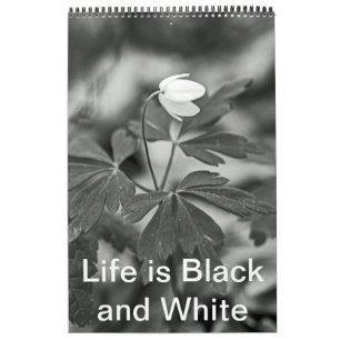 Calendar - Life is Black and White