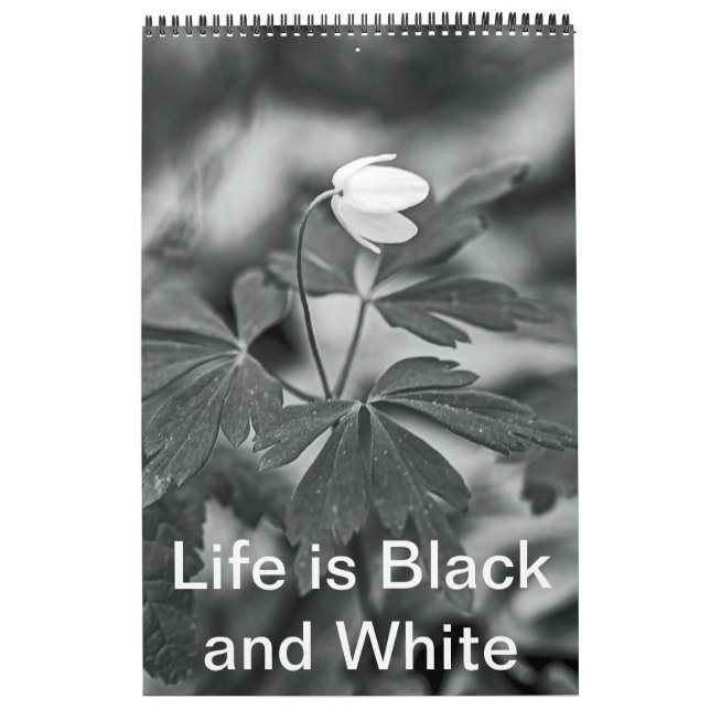 Calendar - Life is Black and White (Cover)