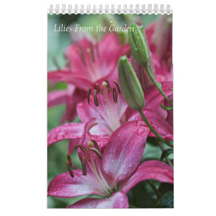 Calendar Lilies from the Garden