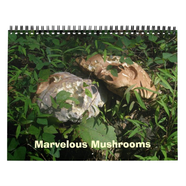 Calendar - Marvellous Mushrooms (Cover)