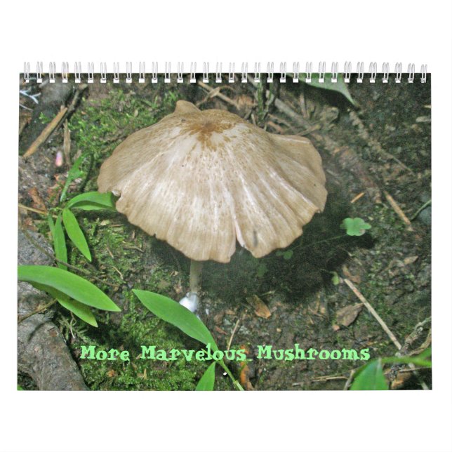 Calendar - More Marvellous Mushrooms (Cover)