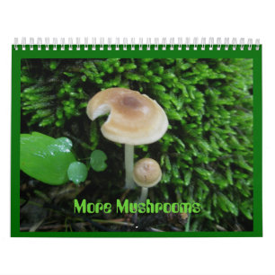 Calendar - More Mushrooms