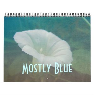 Calendar - Mostly Blue