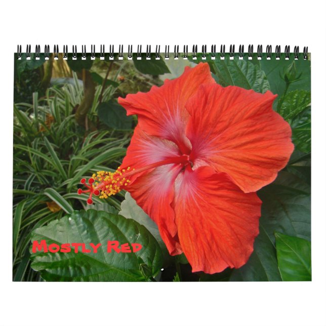 Calendar - Mostly Red (Cover)