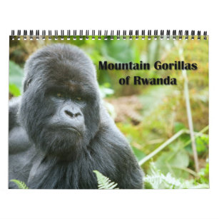 Calendar - Mountain Gorillas of Rwanda