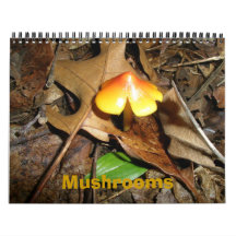 Calendar Mushrooms