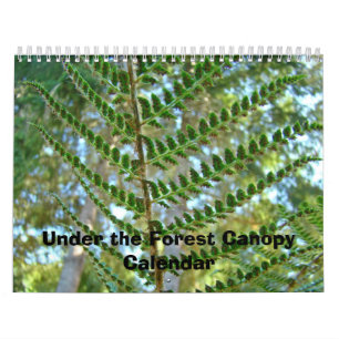 Calendar Nature Under the Forest Canopy Calendars