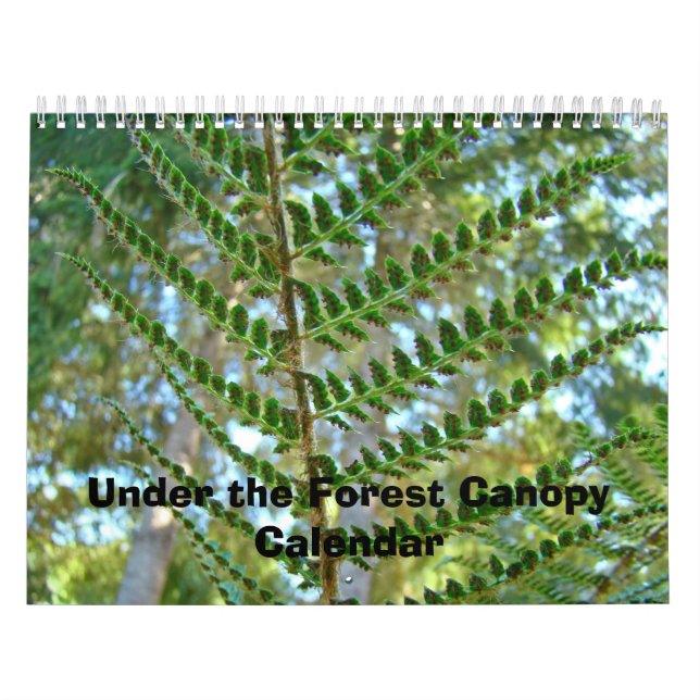 Calendar Nature Under the Forest Canopy Calendars (Cover)