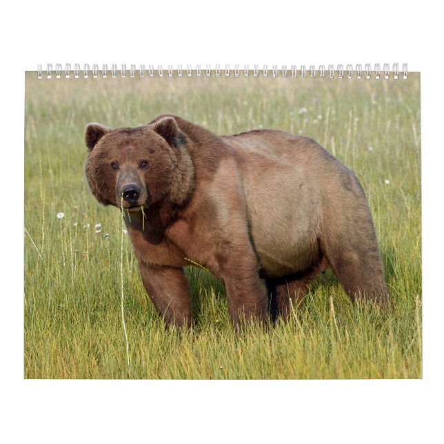 Calendar of Alaska wildlife (Cover)