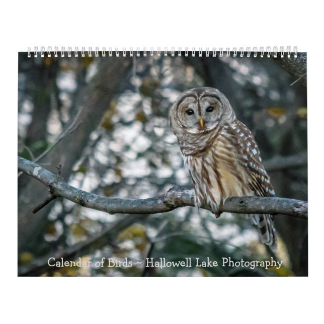 Calendar of Birds Hallowell Lake Photography (Cover)