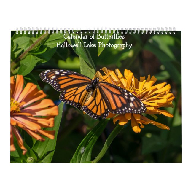 Calendar of Butterflies and Caterpillars (Cover)
