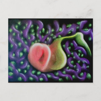 Calendar of the Soul 37 Postcard