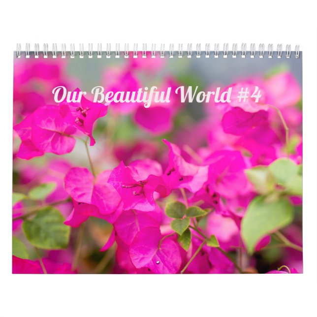 Calendar ~ Our Beautiful World #4 (Cover)