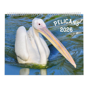 Calendar pelicans 2023