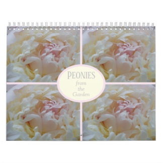 Calendar Peonies from my Garden