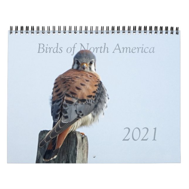Calendar - Photos of North American Birds (Cover)