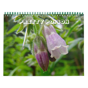 Calendar - Pretty Poison