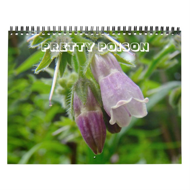 Calendar - Pretty Poison (Cover)