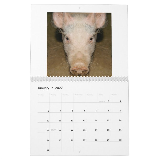 Calendar Promo (Jan 2027)