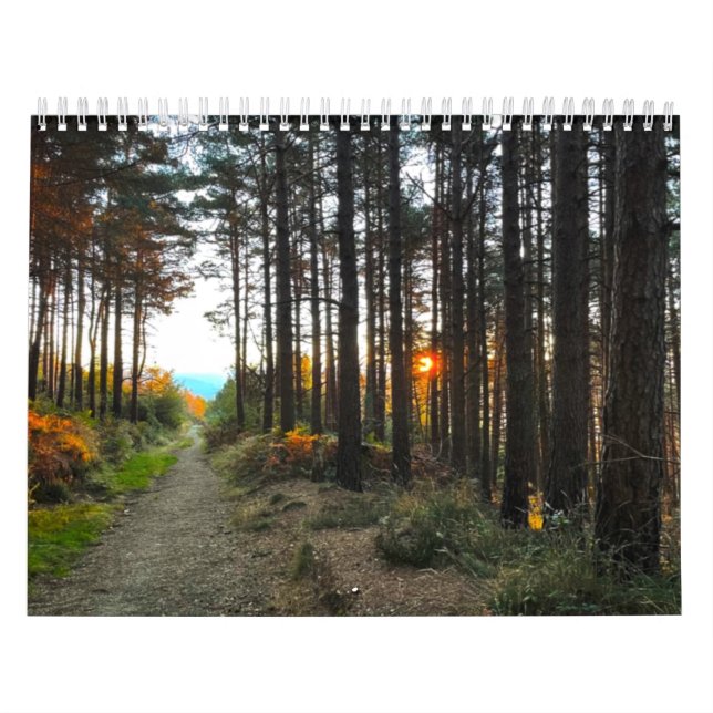 Calendar Saint James Way (Cover)