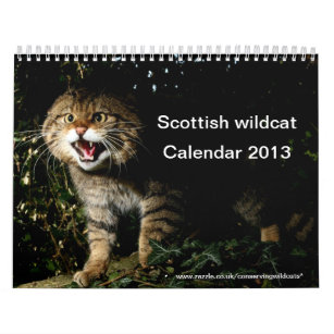 Calendar - Scottish wildcat