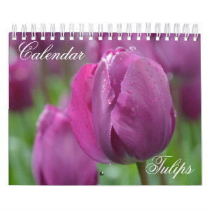 Calendar Tulips