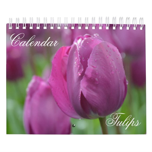 Calendar Tulips (Cover)