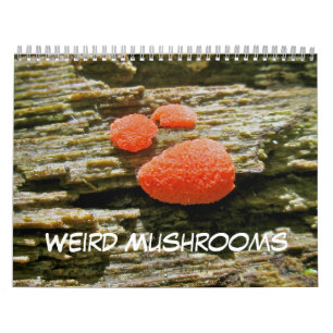Calendar Weird Mushrooms